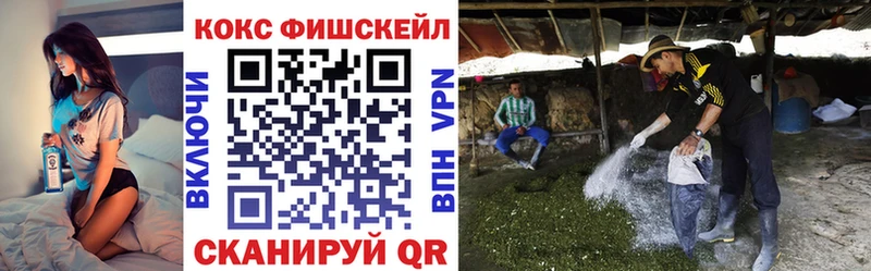 COCAIN Fish Scale  Сортавала 