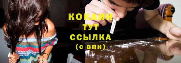 гашик Гусев