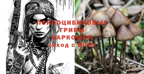 прущая мука Гусиноозёрск