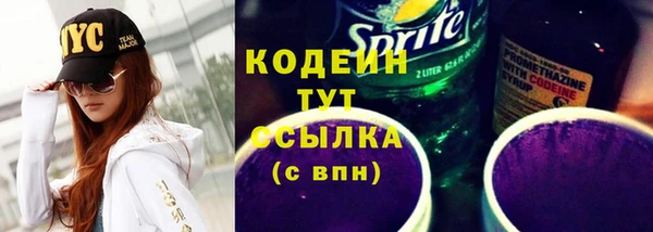 гашик Гусев