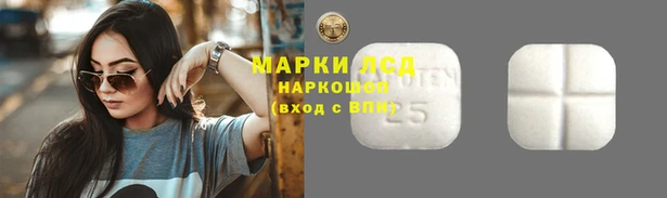 гашик Гусев