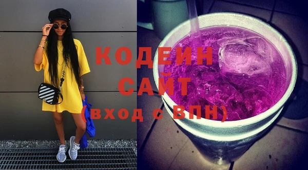 гашик Гусев