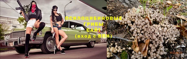 Альфа ПВП Гусь-Хрустальный