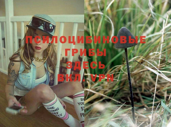 прущая мука Гусиноозёрск