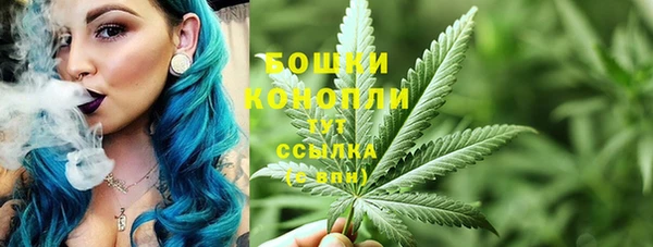 гашик Гусев
