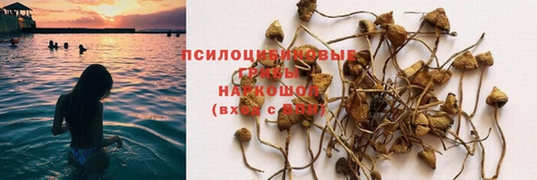 прущая мука Гусиноозёрск