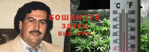 Альфа ПВП Гусь-Хрустальный