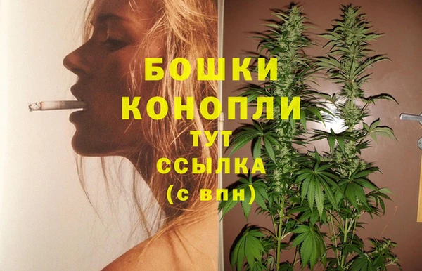 гашик Гусев
