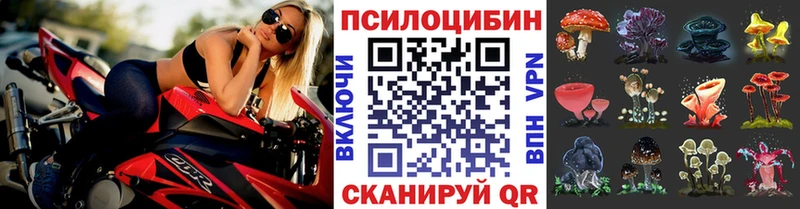 сайты даркнета телеграм  наркошоп  Сортавала  Галлюциногенные грибы мицелий 
